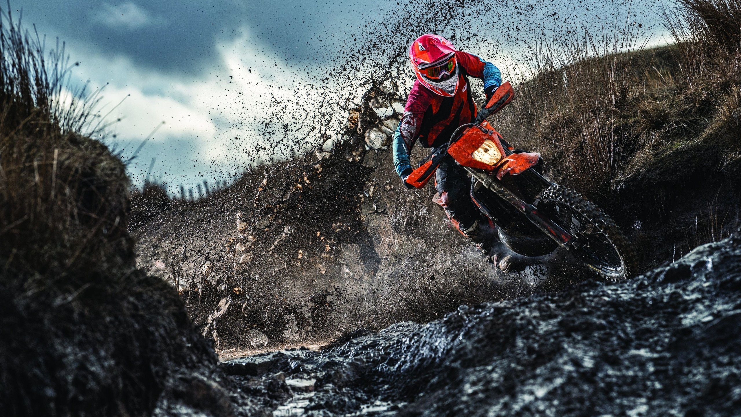 印度赛制透析：多层次赛事体系促进乒乓发展，印度公开赛